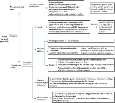 Pharmacological Interventions for Bacterial Prostatitis